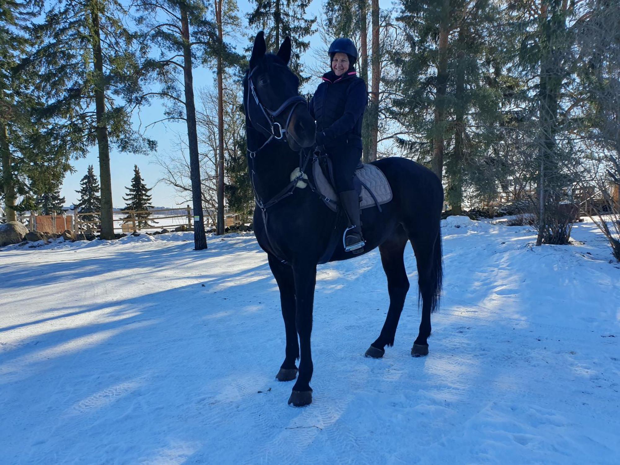 Siirilaen Tila Guest House Seinäjoki Eksteriør bilde