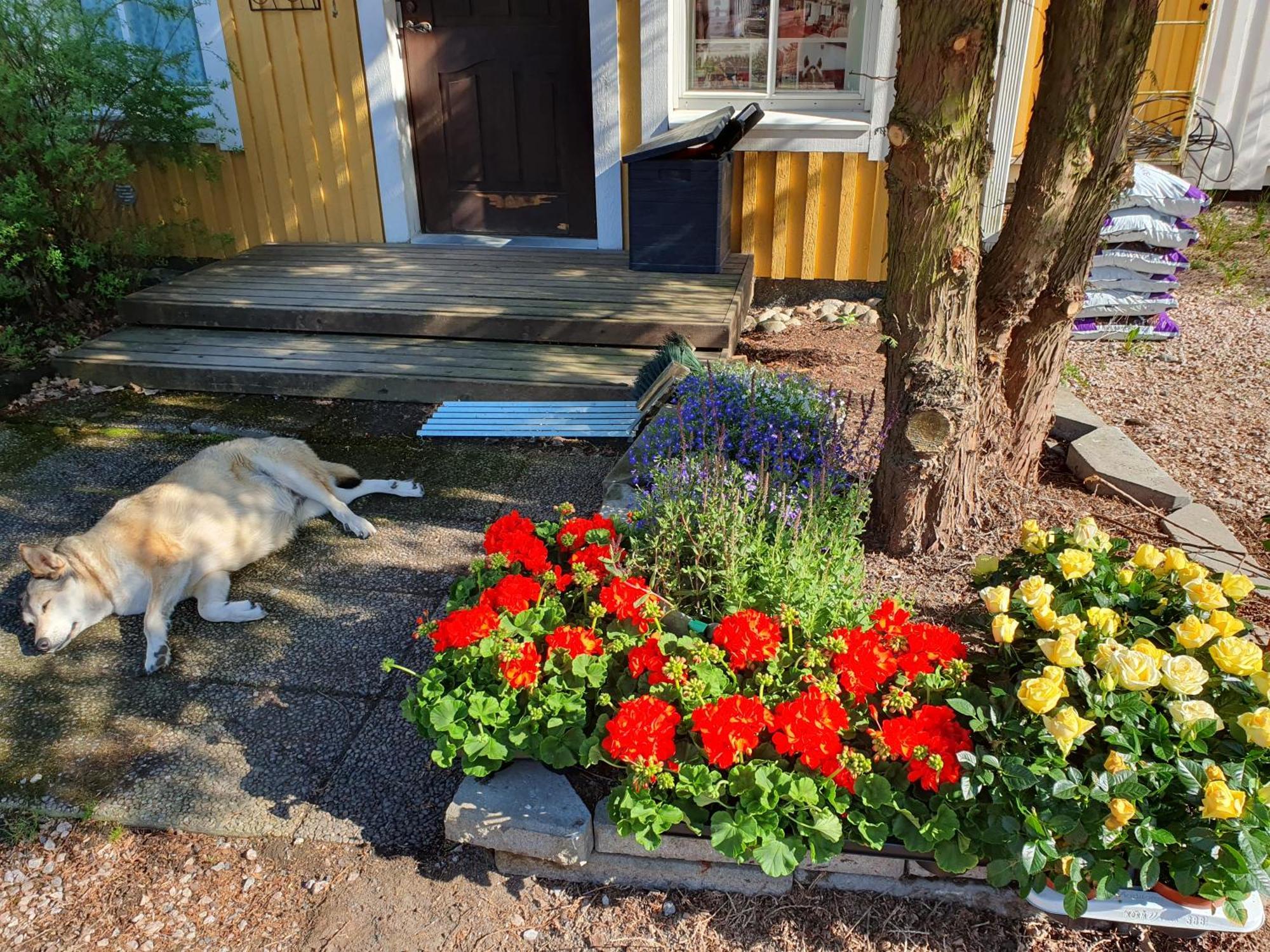 Siirilaen Tila Guest House Seinäjoki Eksteriør bilde