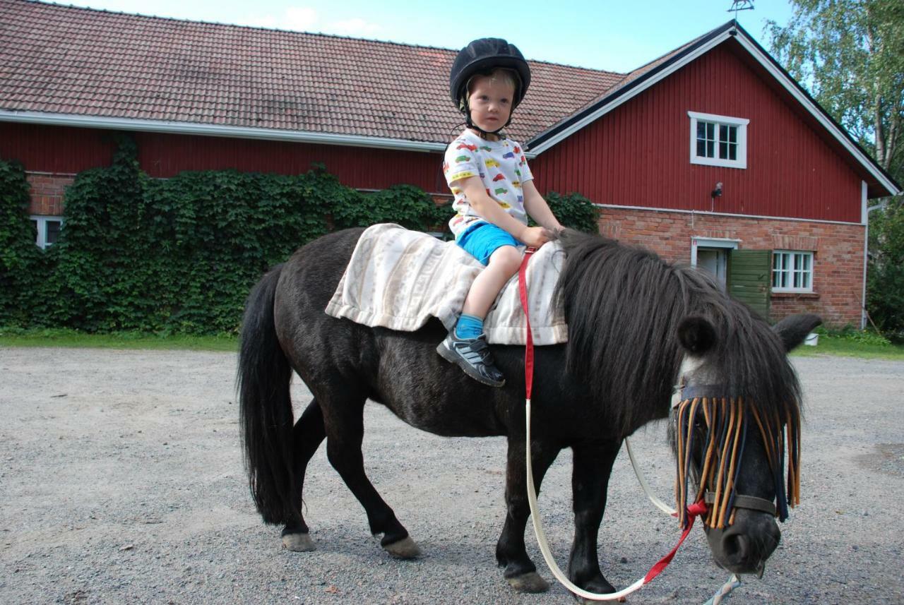 Siirilaen Tila Guest House Seinäjoki Eksteriør bilde